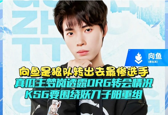 RW操作疑云再起!10万卖小胖千元买回?KPL转会内幕大揭秘