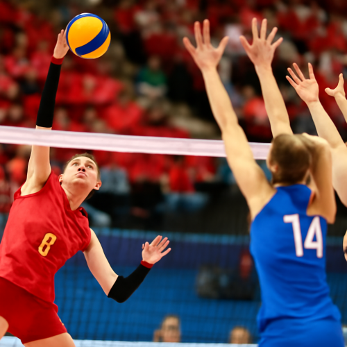 中国女排3-0横扫塞尔维亚！17816人见证青春风暴