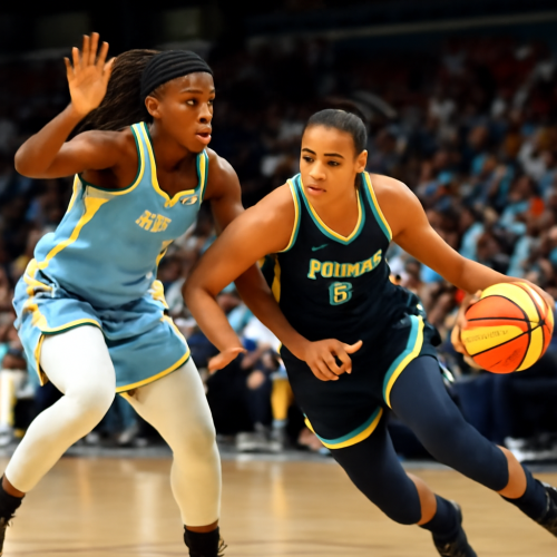 6月21日 WNBA天空vs飞翼 高清免费观看
