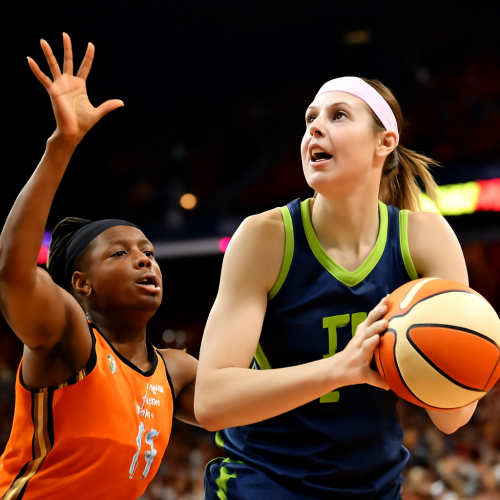 7月7日 WNBA阳光vs天猫 最新直播入口
