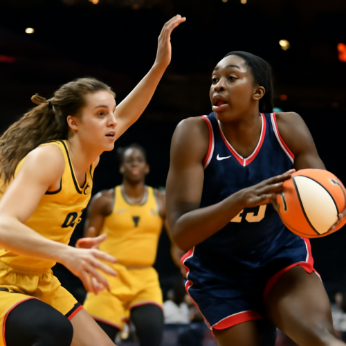 7月7日 WNBA女武神vs神秘人 免费直播入口