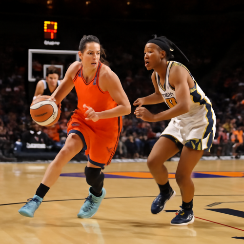 7月23日 WNBA阳光vs狂热 在线直播入口
