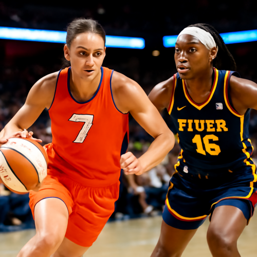 7月23日 WNBA阳光vs狂热 在线直播入口