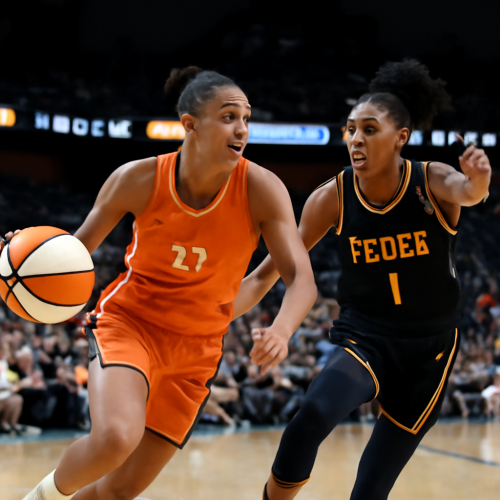 7月23日 WNBA阳光vs狂热 在线直播入口