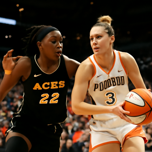 7月29日 WNBA火焰vs王牌 高清免费观看