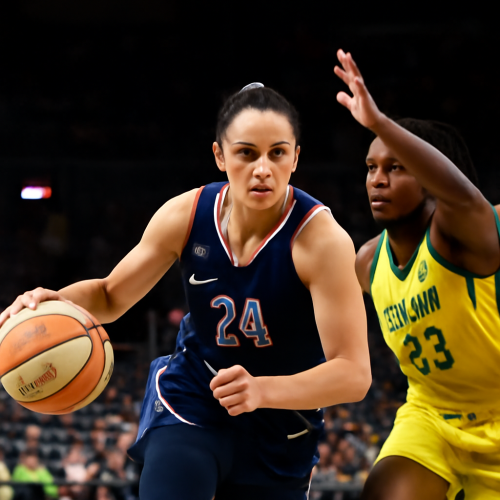 不容錯過！8月27日 WNBA 節奏隊對風暴隊高清直播指南