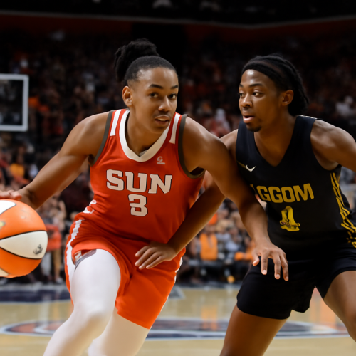9月18日 WNBA阳光vs梦想 免费直播入口