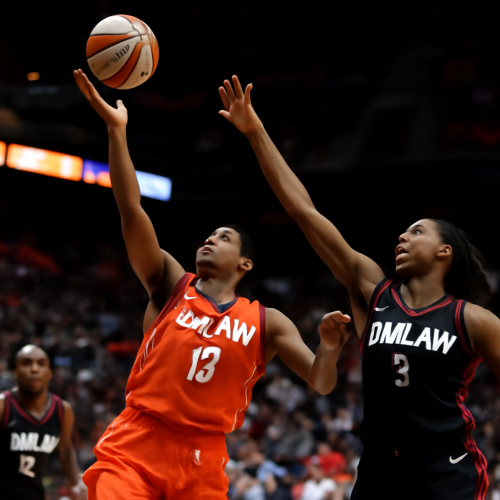 9月18日 WNBA阳光vs梦想 免费直播入口
